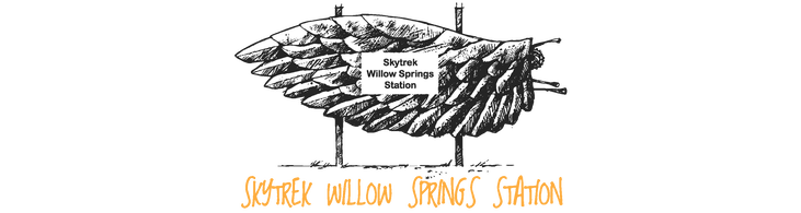 Skytrek Willow Springs Station